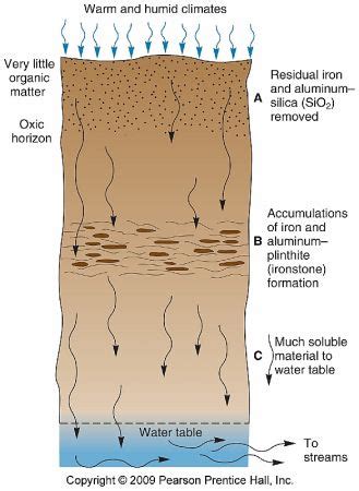 Soil formation involves two major processes: Geology 1340 Test 4 - ProProfs Quiz