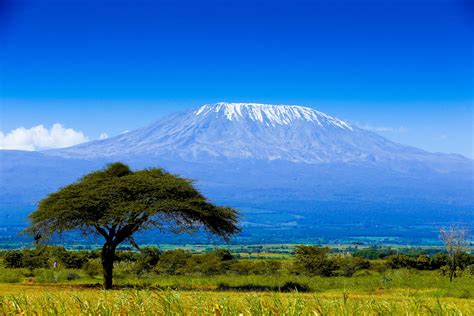 Trekking Sul Kilimanjaro Tutto Quello Che Cè Da Sapere Lonely Planet