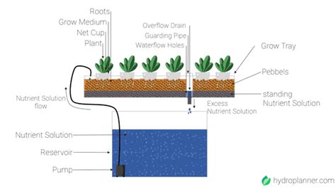 What Is A Hydroponic Ebb Flow System