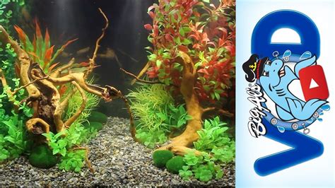 How To Use Fake Aquarium Plants To Create Stunning Natural Aquascapes