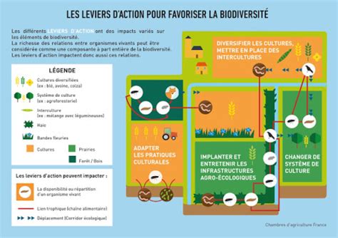 Interactions Entre Agriculture Et Biodiversit La Biodiversit En Milieu Agricole