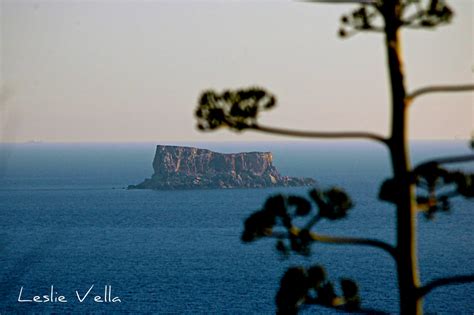 Islet Of Filfla From Mainland Malta Leslie Vella Flickr