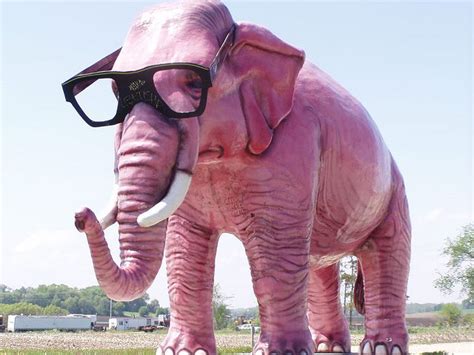 Ill Never Be A Big Pink Elephant The Biggest Life Lesson Ive