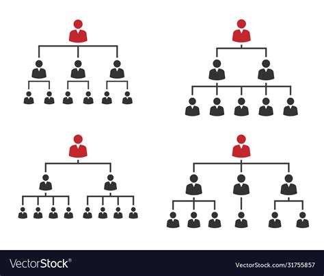 Corporate Hierarchy Pyramid With Team Leader Vector Image