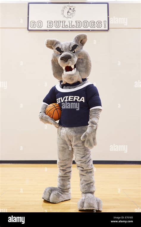 High School Mascot For Basketball Team Stock Photo Alamy