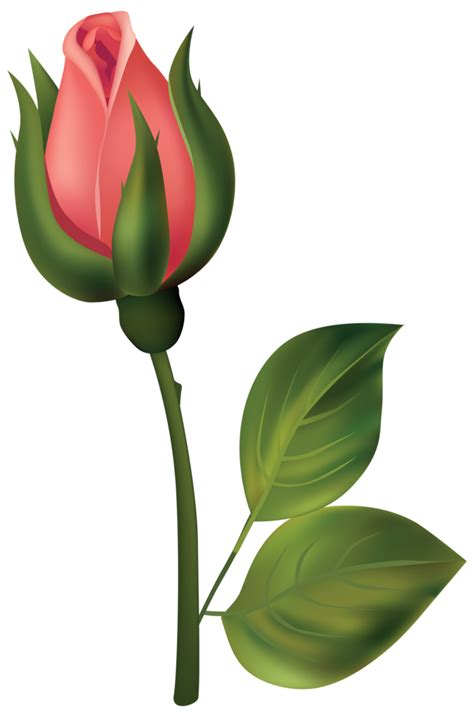 Stem Red Rose Bud Png Clipart