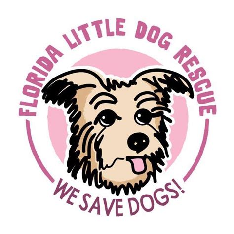 Animal shelters & rescues near you. Pets for Adoption at Florida Little Dog Rescue, in Orlando ...