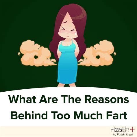 What Are The Reasons Behind Too Much Fart What Are The Reasons Behind