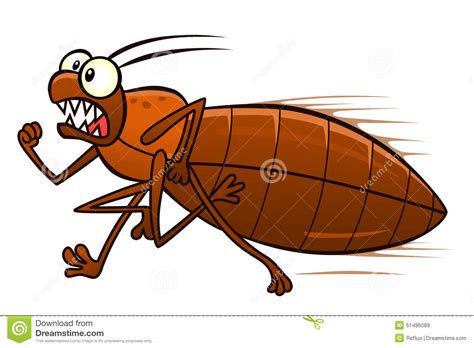 Running Bedbug Stock Vector - Image: 51486089