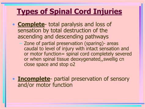 Ppt Spinal Cord Injury Powerpoint Presentation Id4163939