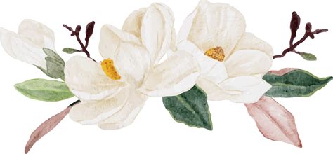 Watercolor White Magnolia Flower And Leaf Branch Bouquet 9390945 Png