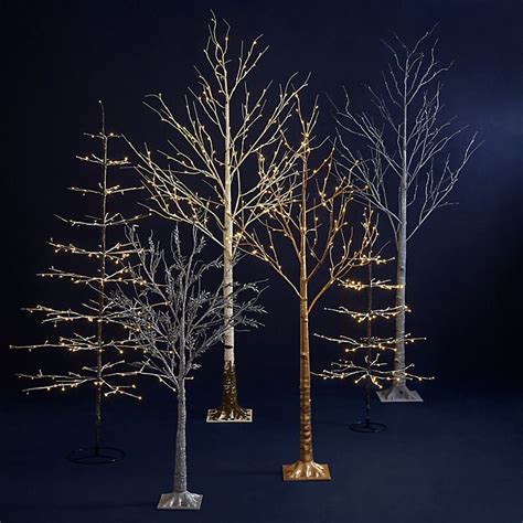 Four Lighted Trees In The Dark With No Leaves On Them And One Tree