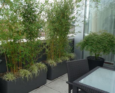Bamboo in your garden design ideas, from architectural plants to fencing and borders, water fountains, gazebos, and outdoor bamboo garden furniture. ...bamboo containers for a patio screen and under plantings..so doing this! in 2019 | Bamboo ...