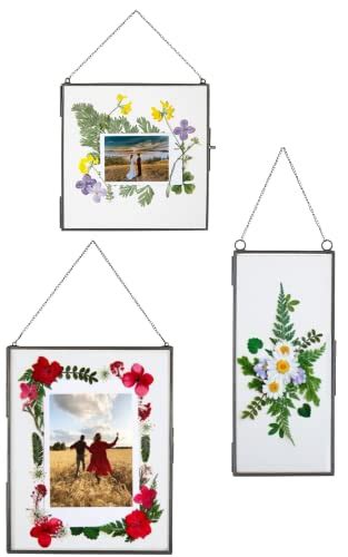 The Best Glass Frames For Showcasing Pressed Flowers