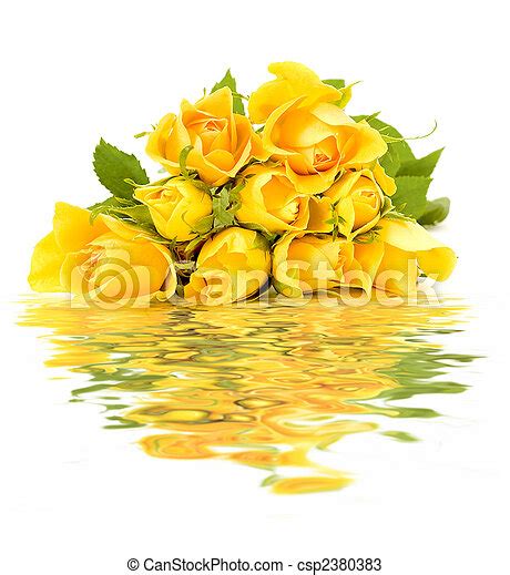 Banch Of Flowers Reflected In The Water Yellow Roses Isolated On The