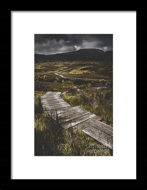 Hiking Trail Leading To Distant Australia Bushland Framed Print By