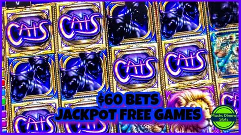 Cats Slot Machine First Jackpot On This Game High Limit 60 Bets