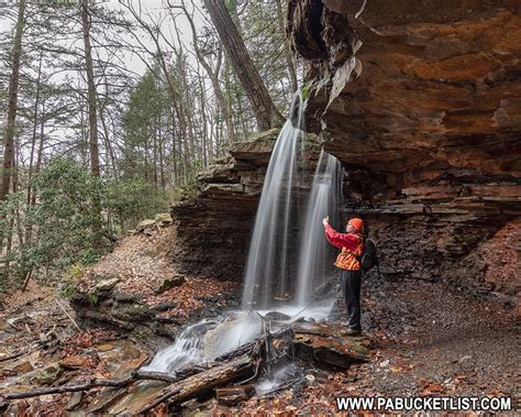 Adam Falls