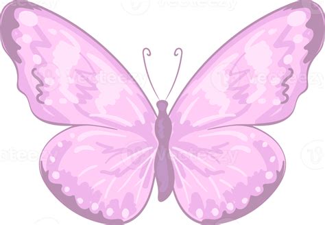 ilustração linda pintura de borboleta Topper Clip Art Butterfly Deco