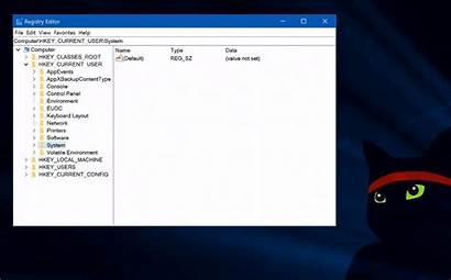 Editor Registry Windows Microsoft Regedit Address Build