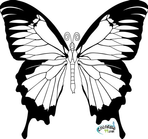 Free butterfly coloring pages to print. Butterfly Coloring Pages | Team colors