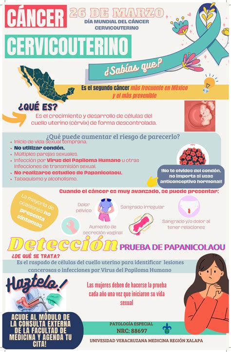 Infografía Cacu Tamaño Tabloide Blog De La Multimodalidad Educativa