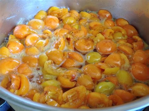 This easy loquat jam recipe requires loquats, lemon and sugar. Loquat Freezer Jam - Recipe! - Live. Love. Laugh. Food.