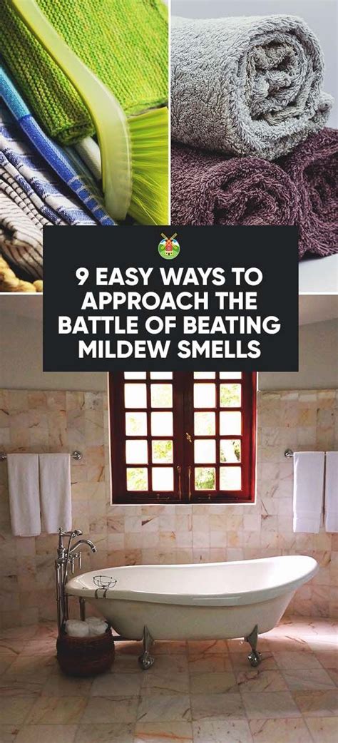 We did not find results for: How to Get Rid of Mildew Smell in Your House in 9 Easy ...