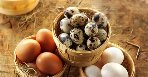 Today, we will review types of eggs dishes and ways of their preparation. 11 different types of eggs you should be eating