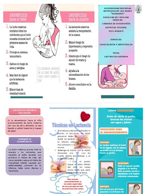 triptico lactancia materna pdf