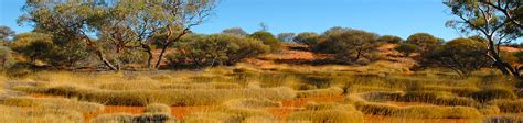 Great Victoria Desert And Nullarbor Expedition