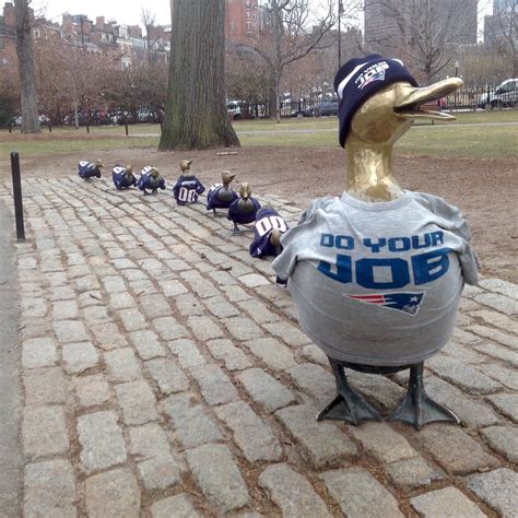 The Boston Ducklings Are Doing Their New England Patriots Facebook