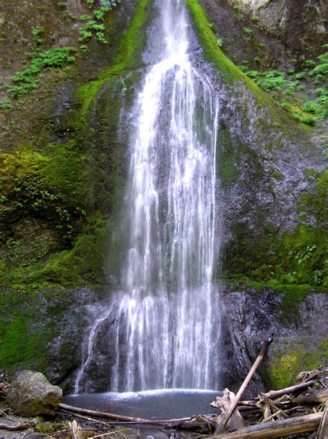 National Parks Adventure Olympic National Park Marymere Falls And