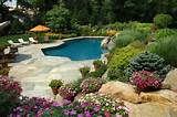 Pool Landscaping Flowers Images