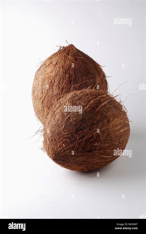 Two Coconuts Stock Photo Alamy