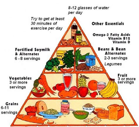 Vegan Food Pyramid For Vegetarian Diets