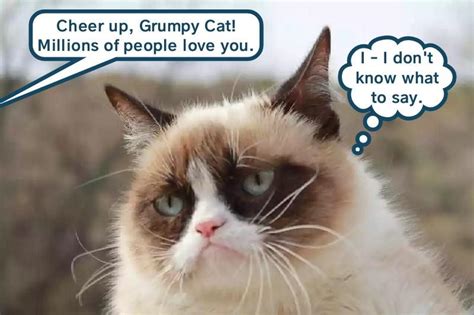 Grumpy Can Has Happy Lessons Lolcats Lol Cat Memes Funny Cats