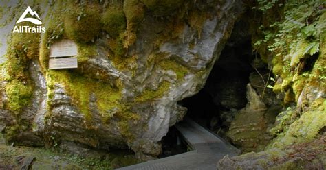 10 Best Hikes And Trails In Oregon Caves National Monument And Preserve