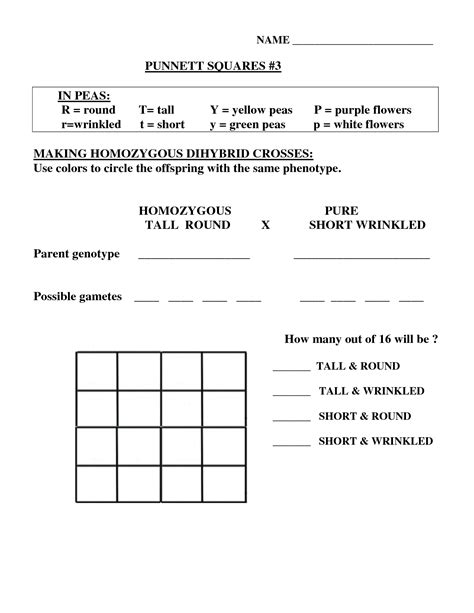 An example of a punnett square for pea plants is shown in. Dihybrid Cross Worksheet Answer Key in 2020 | Practices ...