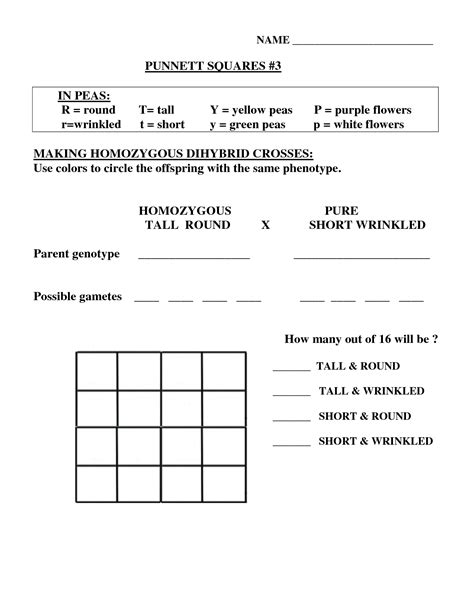 Dihybrid punnett square practice problems problem a: Pin on Science- keeping it in the family