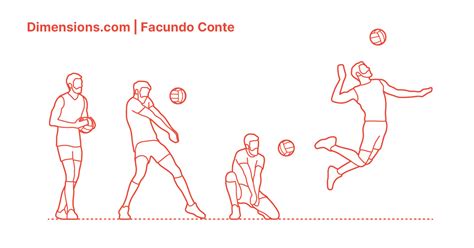 Facundo conte bio, video, news, live streams, interviews, social media and more from the 2021 tokyo olympic games. Facundo Conte Dimensions & Drawings | Dimensions.com