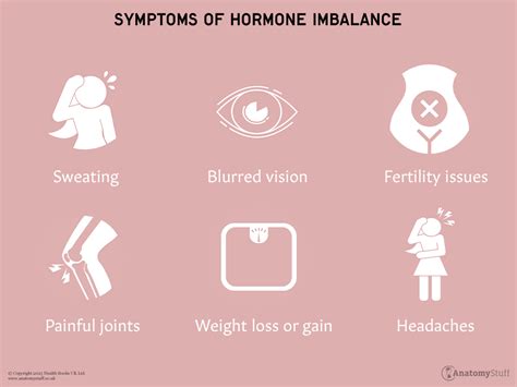 understanding hormones hormone imbalance anatomystuff