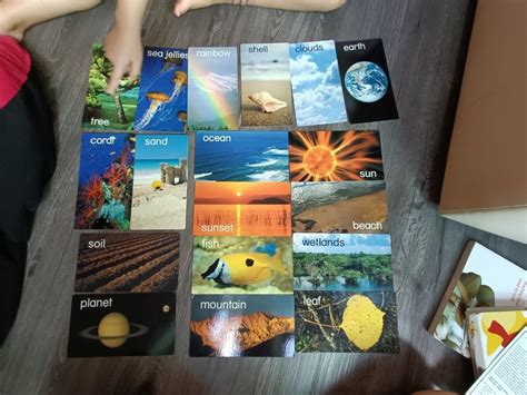 Baby Einstein Nature Discovery Cards Hobbies And Toys Books And Magazines