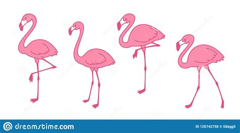 Pink Flamingo Cartoon Vector Set Cute Flamingos Collection