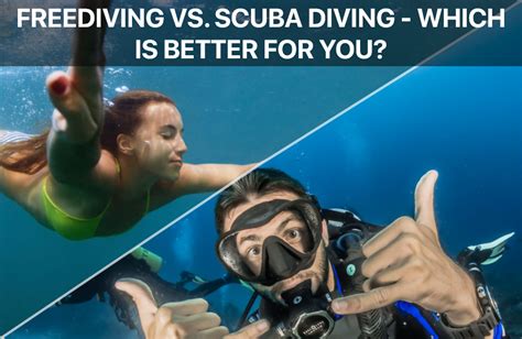 Freediving Vs Scuba Diving Which Is Better For You Smacodive