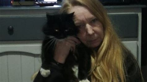 Missing Wirral Cat Rescued From Half Way Down Chimney BBC News