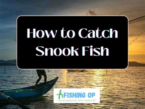 Snook Fishing Guide How To Catch Snook Fish Seasons Regions