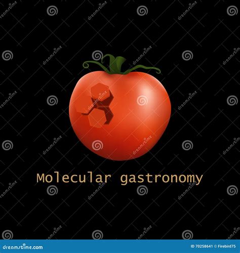 Stylized Molecular Tomato Structure Molecular Gastronomy Vector