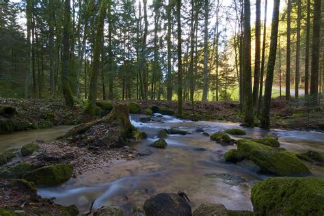 Beautiful Creek In The Black Forest Rafa Win Flickr