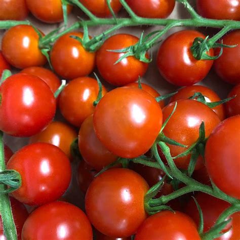 British Cherry Vine Tomatoes Punnet Farmers Fayre